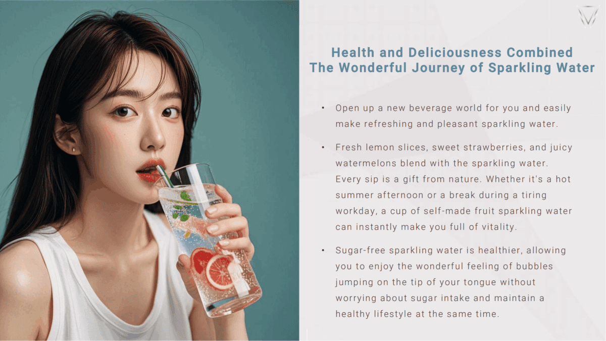 Multifunctional Under-sink carbonated water dispenser